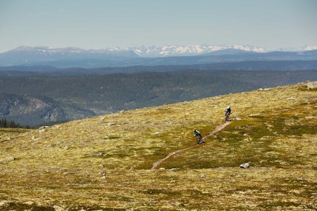 Ove Grøndal og Frank Jonny Brenno koser seg på førsteklasses høyfjellssti mot Trommenatten. / Stisykling i Norge.