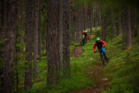 Stien fra Åsgardane ned til Gol sentrum har fått navnet Supergeil. Bjørn Jarle Kvande og Mathias Marley nyter den lange og morsomme utforkjøringen. / Stisykling i Norge. Stien fra Åsgardane ned til Gol sentrum har fått navnet Supergeil. Bjørn Jarle Kvande og Mathias Marley nyter den lange og morsomme utforkjøringen. / Stisykling i Norge.