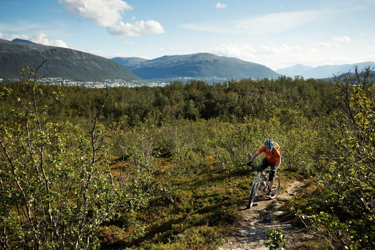 På Tromsøya har Tomas Løkken fine stier praktisk talt utenfor stuedøra. / Stisykling i Norge. På Tromsøya har Tomas Løkken fine stier praktisk talt utenfor stuedøra. / Stisykling i Norge.
