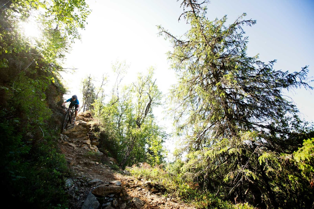 Gråkallskrenten er et mye omtalt crux i Bymarka, på baksiden av Gråkallen ned mot Vintervatnet. / Stisykling i Norge. Gråkallskrenten er et mye omtalt crux i Bymarka, på baksiden av Gråkallen ned mot Vintervatnet. / Stisykling i Norge.