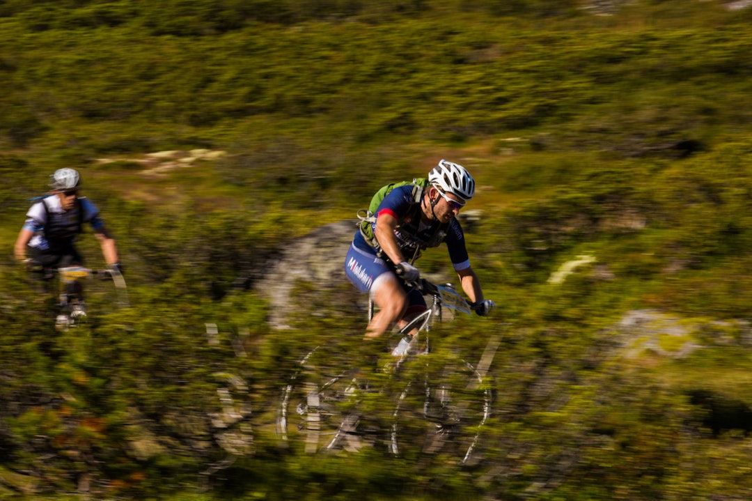 RASKT: Det var fullt mulig å holde stor fart gjennom krattbuskene. (foto: Snorre Veggan) ultrabirken-9953a