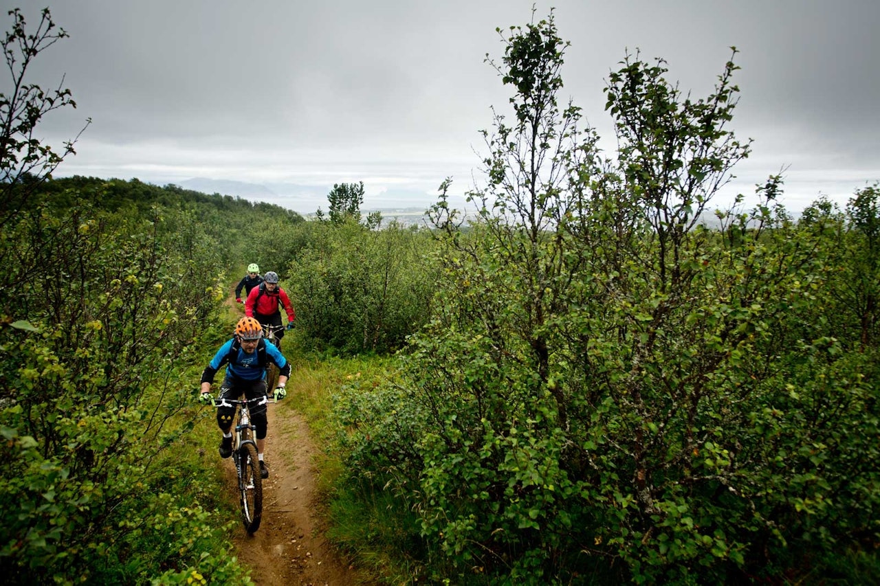Andreas, Wiktor og Martin Klette på vei opp mot Dyrliryggen utenfor Bodø. / Stisykling i Norge. Andreas, Wiktor og Martin Klette på vei opp mot Dyrliryggen utenfor Bodø. / Stisykling i Norge.