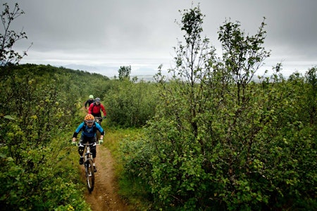 Andreas, Wiktor og Martin Klette på vei opp mot Dyrliryggen utenfor Bodø. / Stisykling i Norge. Andreas, Wiktor og Martin Klette på vei opp mot Dyrliryggen utenfor Bodø. / Stisykling i Norge.