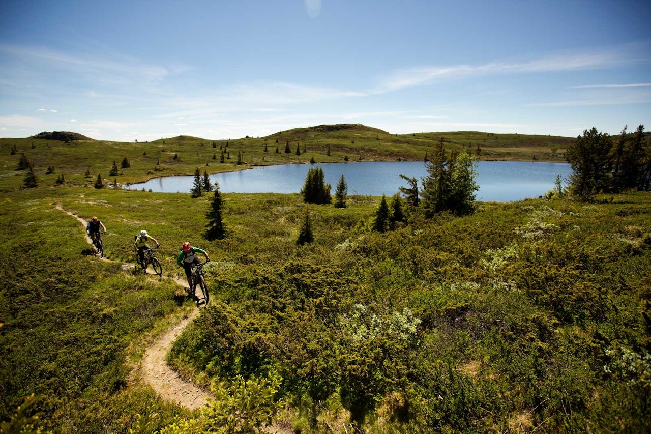 Ove Grøndal, Frank Jonny Brenno og Morten Nilsen tar fatt på klatringen opp mot Dyna. De samme flotte svingene sykles på vei ned igjen. / Stisykling i Norge. Ove Grøndal, Frank Jonny Brenno og Morten Nilsen tar fatt på klatringen opp mot Dyna. De samme flotte svingene sykles på vei ned igjen. / Stisykling i Norge.