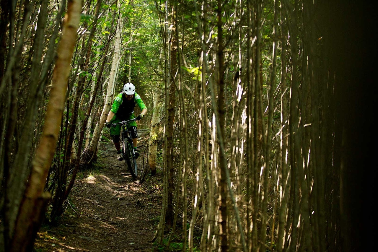 Kjartan Sunnset krangler med tett skog i Tomsetmarka. Skogen her kryr av stier, og du kan holde på lenge i samme område uten å krysse samme sti to ganger. Kjartan Sunnset krangler med tett skog i Tomsetmarka. Skogen her kryr av stier, og du kan holde på lenge i samme område uten å krysse samme sti to ganger.