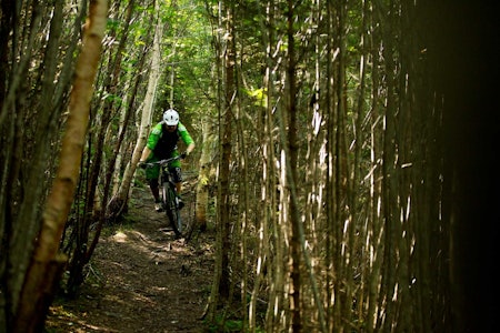 Kjartan Sunnset krangler med tett skog i Tomsetmarka. Skogen her kryr av stier, og du kan holde på lenge i samme område uten å krysse samme sti to ganger.  Kjartan Sunnset krangler med tett skog i Tomsetmarka. Skogen her kryr av stier, og du kan holde på lenge i samme område uten å krysse samme sti to ganger.