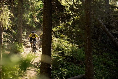 Estenstadmarka har mange korte og bratte utforkjøringer. Her slipper Odd Dahl seg ned «Litjrenna», et lite crux. / Stisykling i Norge. Estenstadmarka har mange korte og bratte utforkjøringer. Her slipper Odd Dahl seg ned «Litjrenna», et lite crux. / Stisykling i Norge.