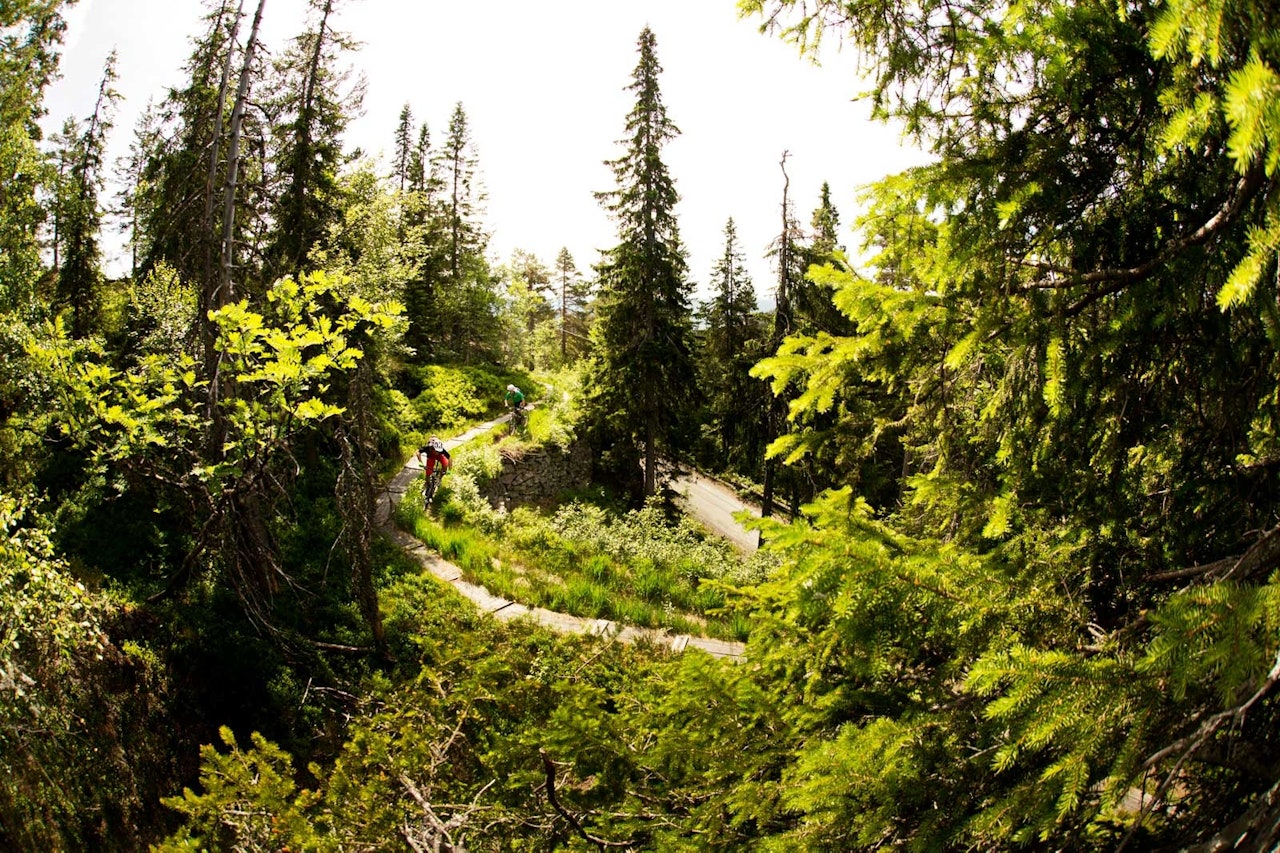 Flere av stiene i området over alpinanlegget går langs gamle vannføringskanaler fra gruvedriften. Sykle for all del ved siden av, ikke oppå disse gamle trekonstruksjonene! / Stisykling i Norge. Flere av stiene i området over alpinanlegget går langs gamle vannføringskanaler fra gruvedriften. Sykle for all del ved siden av, ikke oppå disse gamle trekonstruksjonene! / Stisykling i Norge.