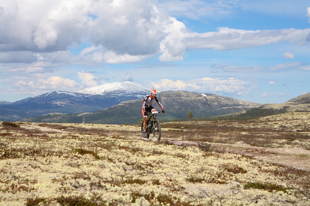 Fra Fonnåsfjellet på tredje etappe, utsikt i retning Tynset. Foto: Per Roger Bekken Fonnåsfjellet retning Tynset - Per Roger Bekken 1400x933