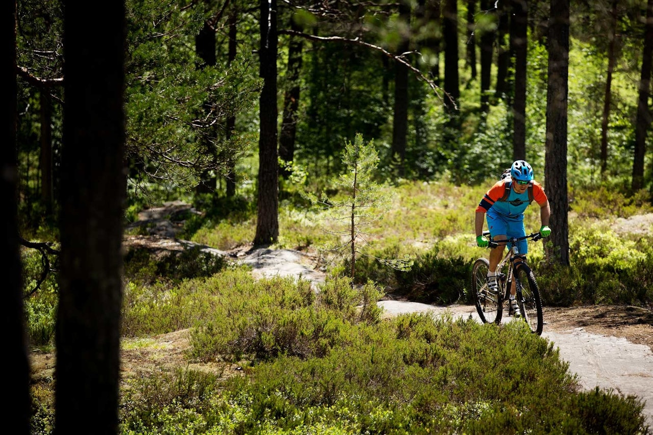 Stiene rundt Kongsberg byr på mye flyt og moro. Sverre Eckhoff gir litt ekstra gass opp et svabergparti. / Stisykling i Norge. Stiene rundt Kongsberg byr på mye flyt og moro. Sverre Eckhoff gir litt ekstra gass opp et svabergparti. / Stisykling i Norge.