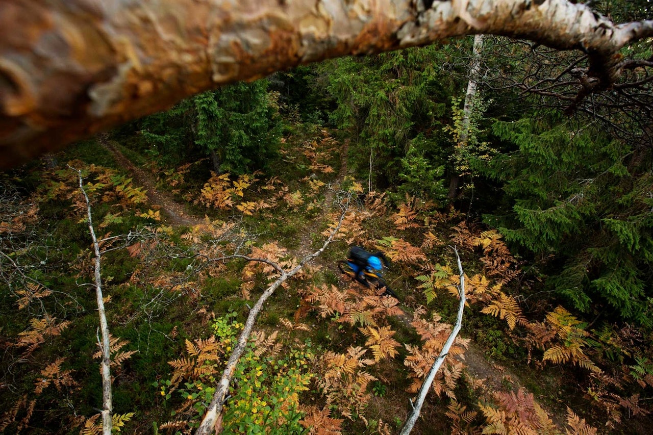 Stian Rånes søker fart på raske flytstier på Konnerudåsen. / Stisykling i Norge. Stian Rånes søker fart på raske flytstier på Konnerudåsen. / Stisykling i Norge.