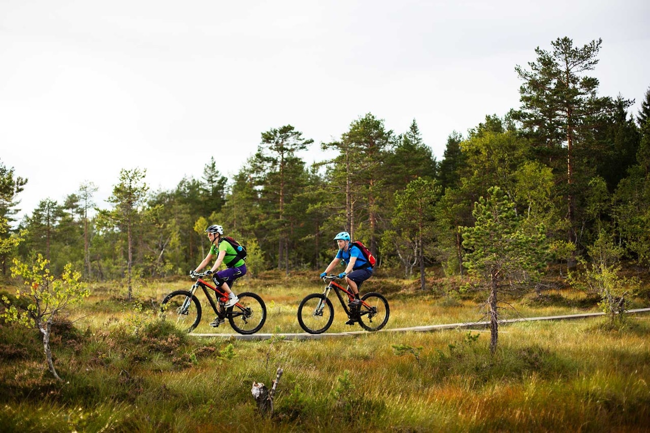 SIlje Holmsen og Torstein Heen får god hjelp av klopper over de mest våte partiene i Drammensmarka. / Stisykling i Norge. SIlje Holmsen og Torstein Heen får god hjelp av klopper over de mest våte partiene i Drammensmarka. / Stisykling i Norge.