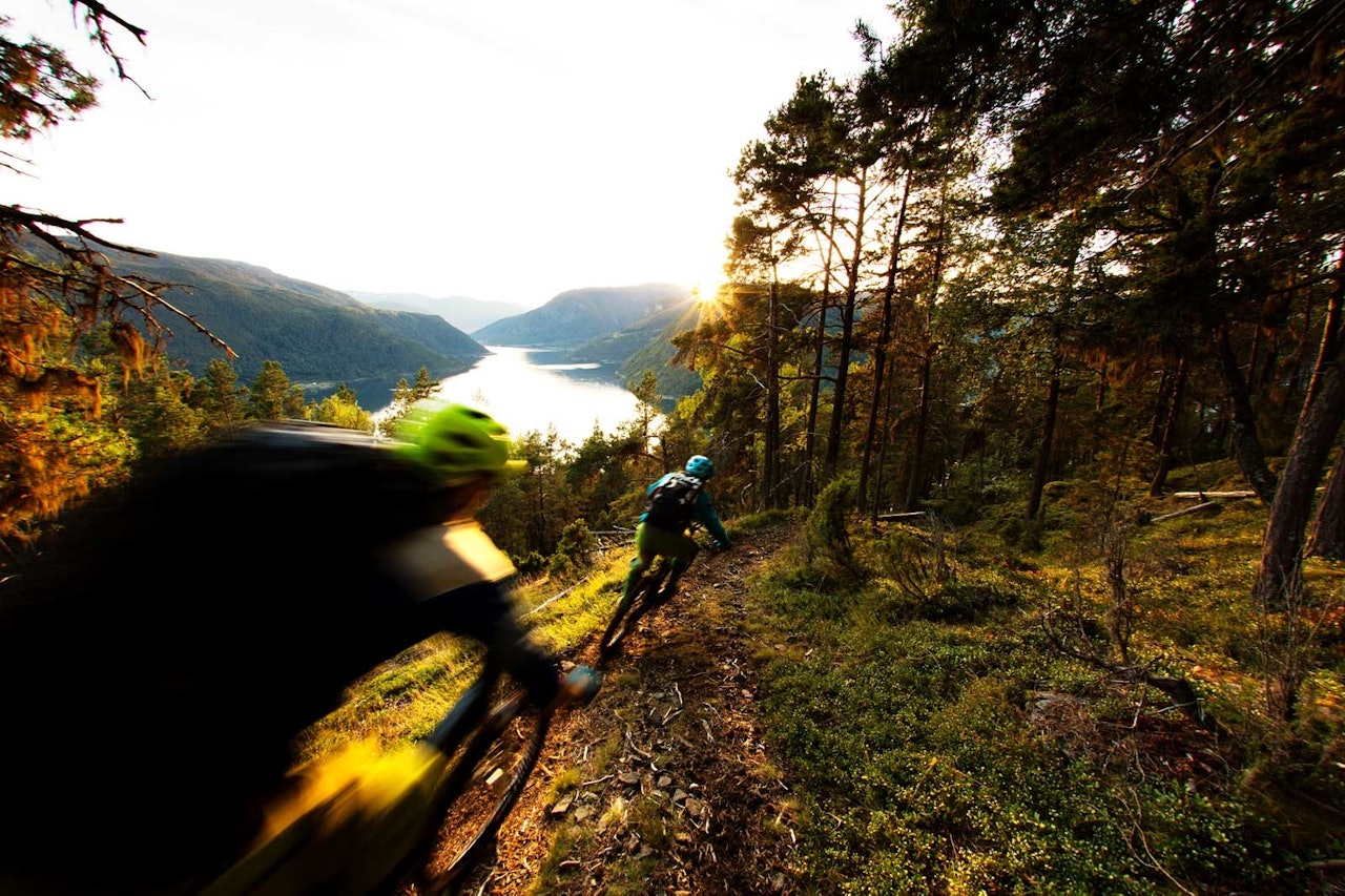 Kristian Ertnes og Jørgen Dølvik Husbyn slipper seg ned de siste høydemeterne mot Sogndalsfjøra fra Hesteggi. / Stisykling i Norge. Kristian Ertnes og Jørgen Dølvik Husbyn slipper seg ned de siste høydemeterne mot Sogndalsfjøra fra Hesteggi. / Stisykling i Norge.
