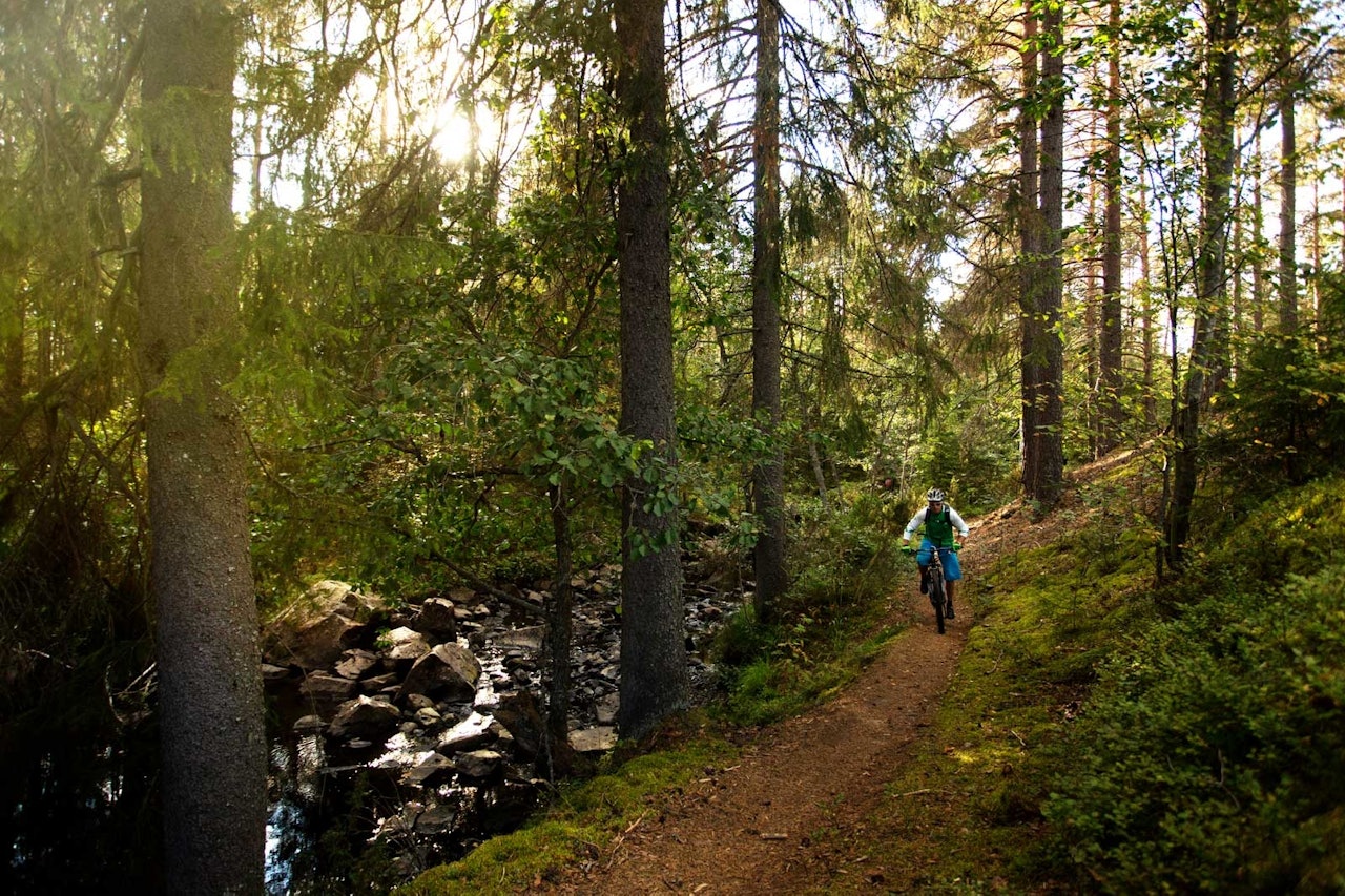 Langs elva Terningåa går fine og enkle flytstier. / Stisykling i Norge. Langs elva Terningåa går fine og enkle flytstier. / Stisykling i Norge.