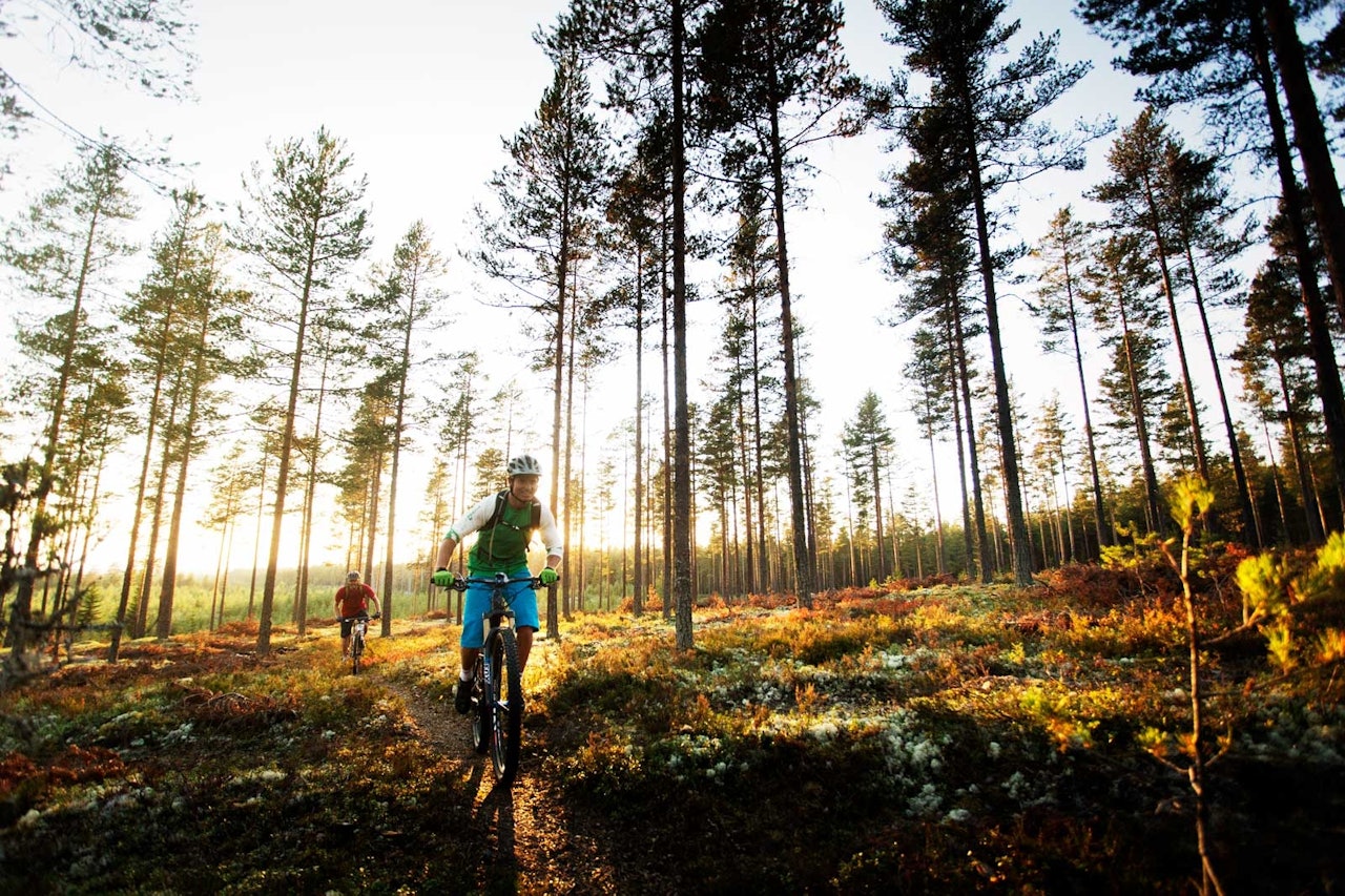 Odd Erik Farstad og Øyvind Nesdal ute på tur en sensommerkveld på stiene rundt Stavåsen. / Stisykling i Norge. Odd Erik Farstad og Øyvind Nesdal ute på tur en sensommerkveld på stiene rundt Stavåsen. / Stisykling i Norge.