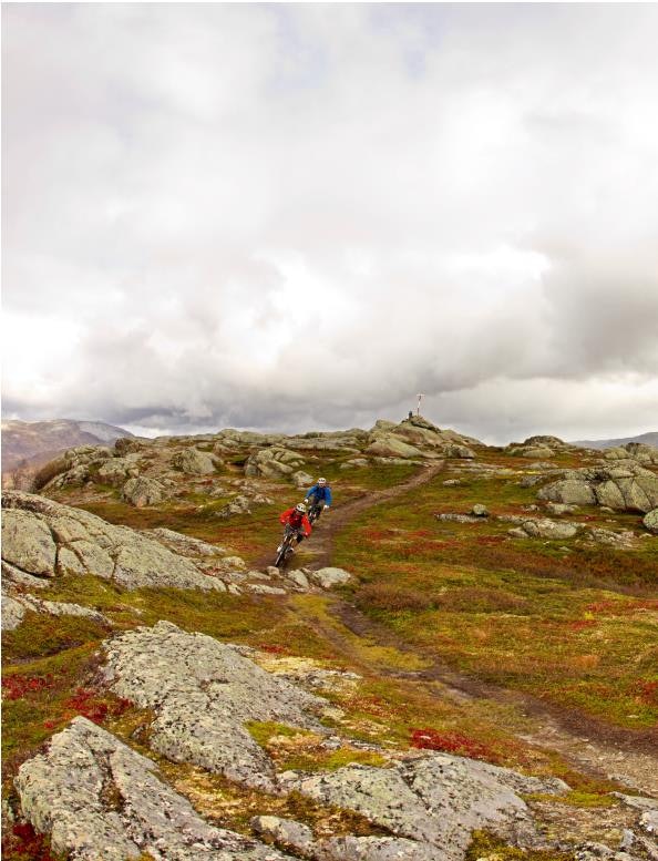 11939103_10156045192475171_380002073_n 11939103_10156045192475171_380002073_n