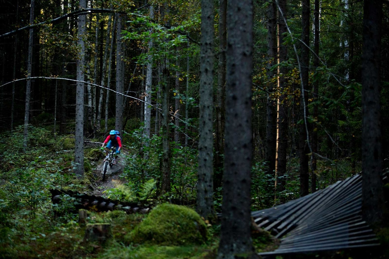 Vindheia er et fint å oppsøke om man vil leke seg på slutten av en stitur, eller bare prøve seg på å få luft under hjulene. / Stisykling i Norge Vindheia er et fint å oppsøke om man vil leke seg på slutten av en stitur, eller bare prøve seg på å få luft under hjulene. / Stisykling i Norge