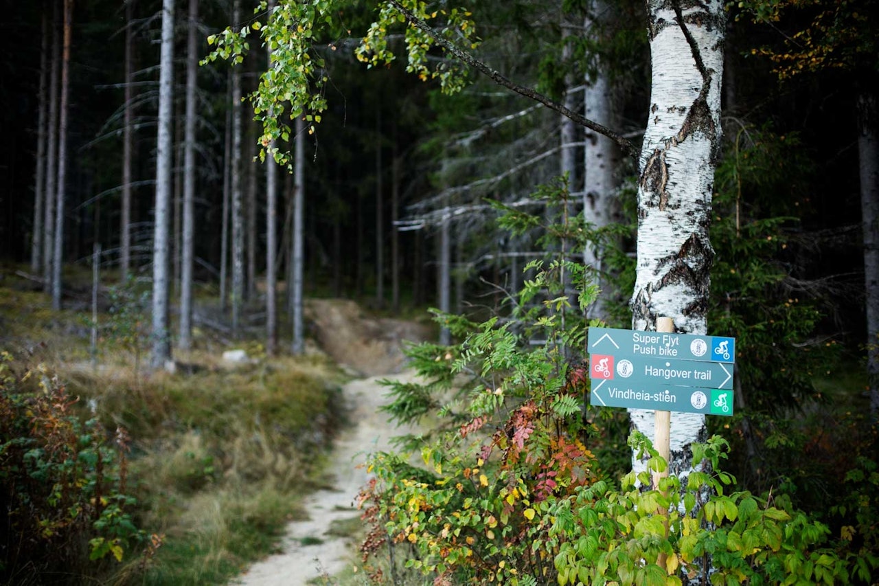 Fra Stisykling i Norge Fra Stisykling i Norge