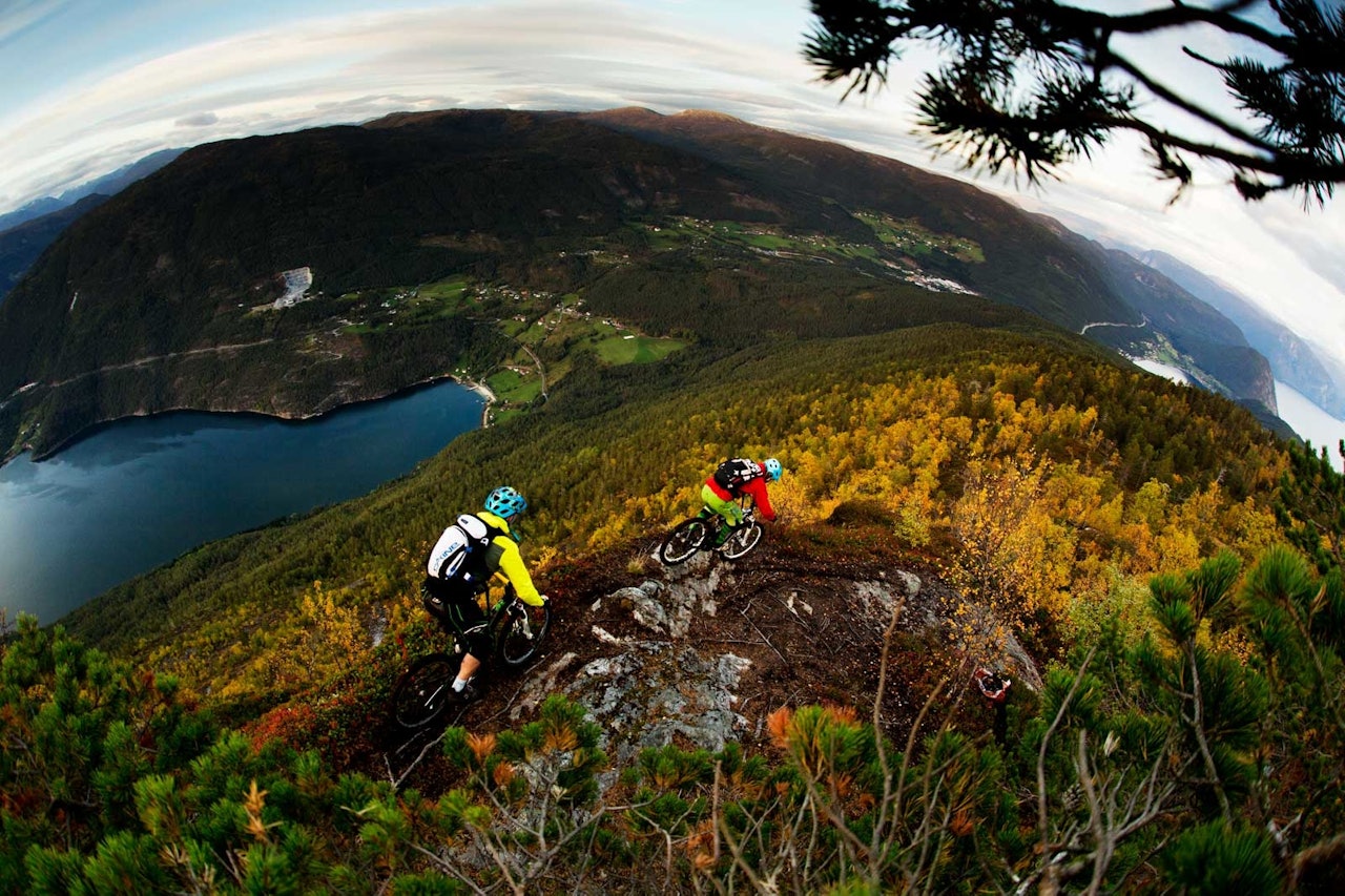 Stig Wigum og Jørgen Dølvik Husbyn på vei ned fra Storhaugen. Ved jordene lenger nede i bildet skimtes Eide, hvor stien kommer ut av skogen. / Stisykling i Norge. Stig Wigum og Jørgen Dølvik Husbyn på vei ned fra Storhaugen. Ved jordene lenger nede i bildet skimtes Eide, hvor stien kommer ut av skogen. / Stisykling i Norge.