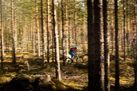Stiene rundt Elverum går for det meste på veldig flatt underlag, og du blir skånet for lange og bratte klatringer. Et perfekt område for nybegynnere. / Stisyykling i Norge. Stiene rundt Elverum går for det meste på veldig flatt underlag, og du blir skånet for lange og bratte klatringer. Et perfekt område for nybegynnere. / Stisyykling i Norge.