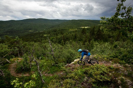 Knut Myking er stientusiast av rang, og har et nært forhold til Skurvehovda. Stien går ned til hjemgården på Myking. / Stisykling i Norge. Knut Myking er stientusiast av rang, og har et nært forhold til Skurvehovda. Stien går ned til hjemgården på Myking. / Stisykling i Norge.