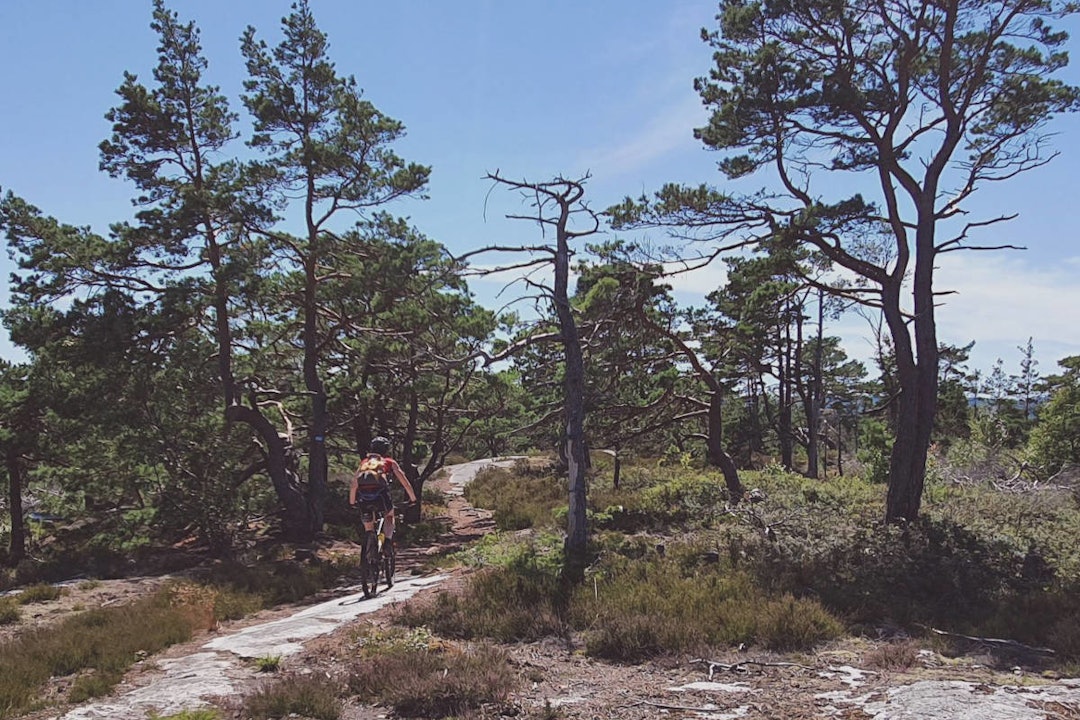 LANGTUR: Les om den spesielle stituren i linken under! Foto: Tord Bern Hansen mest lest terrengsykkel juli