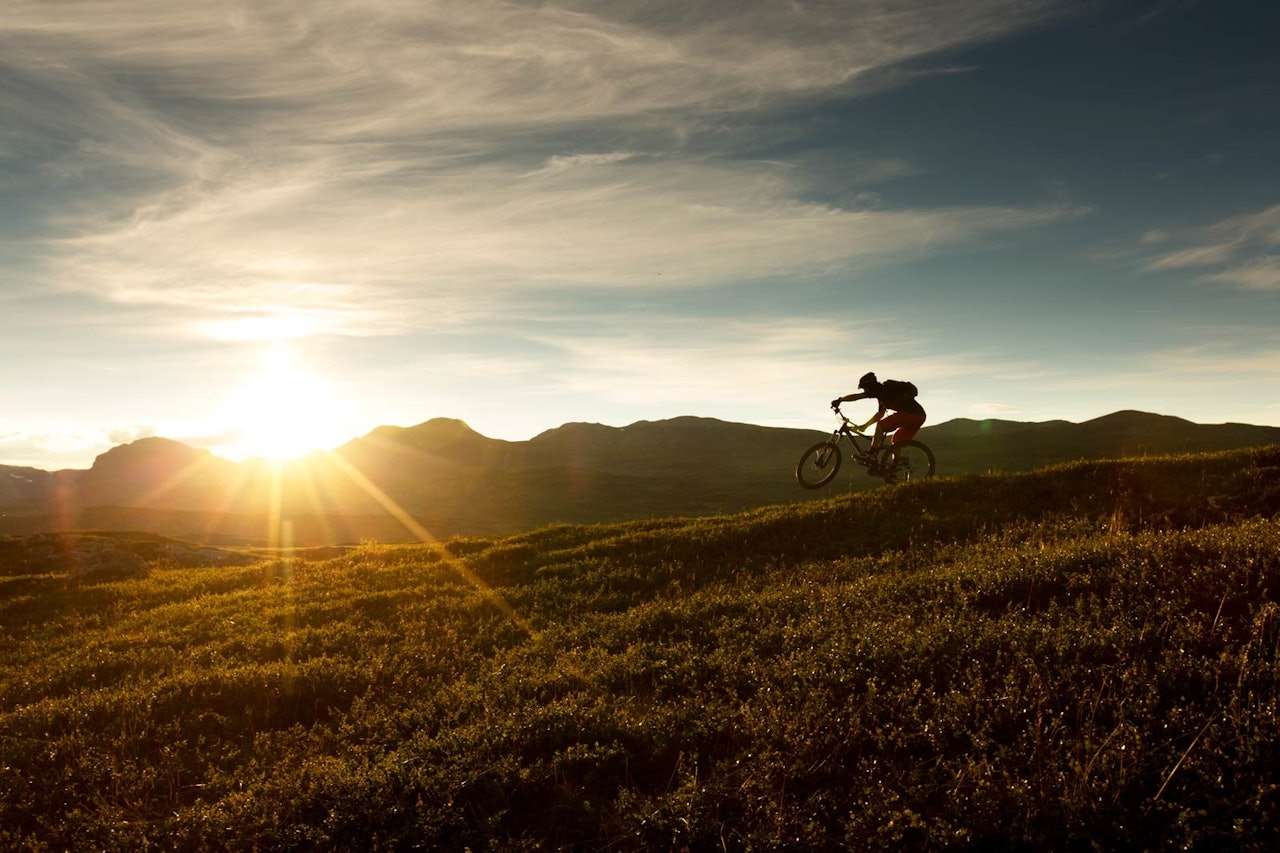 Vegard Breie faller for fristelsen til å vise seg frem for fotografen på Veali. / Stisykling i Norge. Vegard Breie faller for fristelsen til å vise seg frem for fotografen på Veali. / Stisykling i Norge.