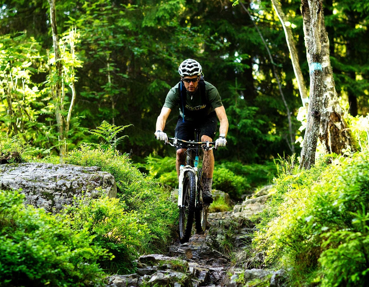 Utforkjøringen ned fra Brunkollen er teknisk så det holder. Henrik Alpers jobber med konsentrasjonen i et steinparti. / Stisykling i Norge. Utforkjøringen ned fra Brunkollen er teknisk så det holder. Henrik Alpers jobber med konsentrasjonen i et steinparti. / Stisykling i Norge.
