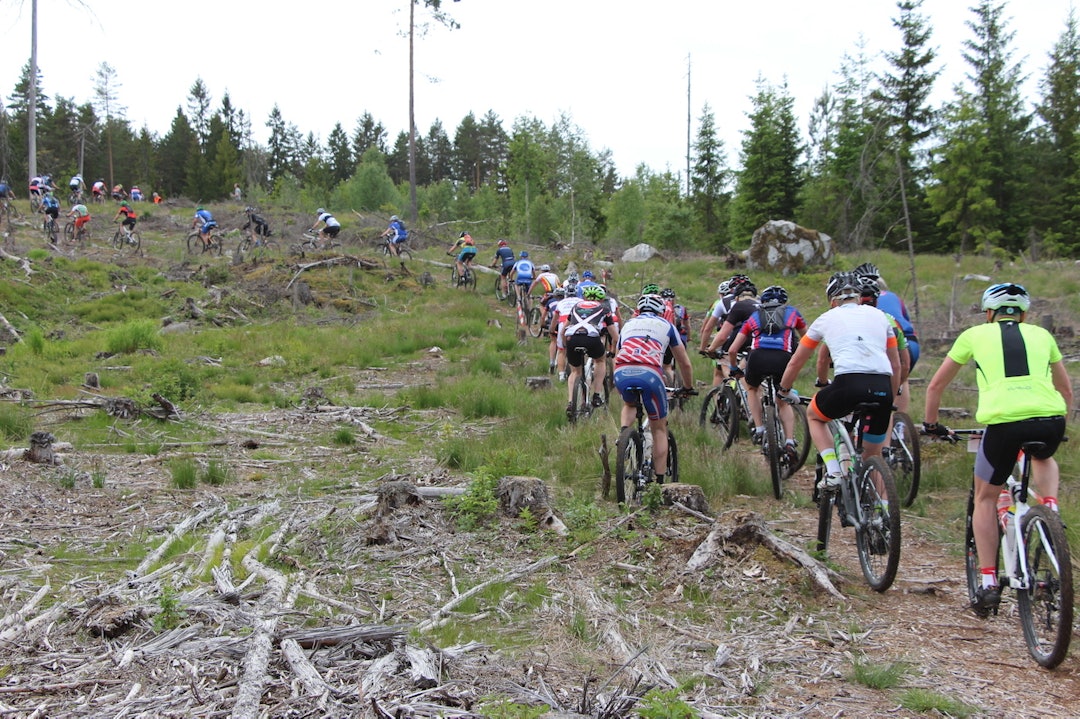 Det er ikke bare eliten som trives i Krepserittet. Løypa byr på variert underlag og passe mye utfordringer. Foto: Arrangøren Krepserittet field 2015 - arrangøren 1400x933
