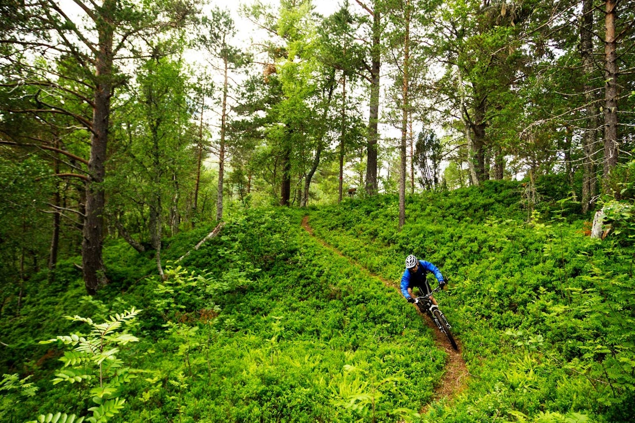 Langs elva i Skorgedalen går en flytsti av de sjeldne. Vil man ha mer utfordring, kan man ta turen oppom Einangsetra. / Stisykling i Norge. Langs elva i Skorgedalen går en flytsti av de sjeldne. Vil man ha mer utfordring, kan man ta turen oppom Einangsetra. / Stisykling i Norge.