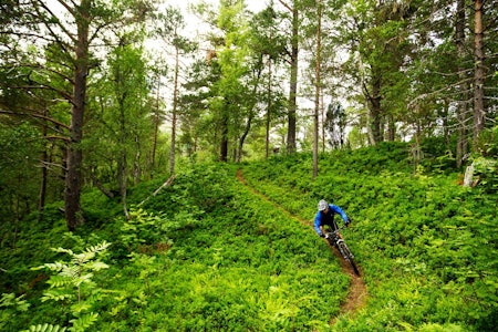 Langs elva i Skorgedalen går en flytsti av de sjeldne. Vil man ha mer utfordring, kan man ta turen oppom Einangsetra. / Stisykling i Norge. Langs elva i Skorgedalen går en flytsti av de sjeldne. Vil man ha mer utfordring, kan man ta turen oppom Einangsetra. / Stisykling i Norge.