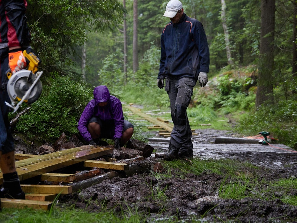 TØRR PÅ BEINA: Med den nye kloppingen kan alle komme seg tørrskodd over myra. Tiltaket hindrer også stien i å bli enda bredere enn den allerede er. Foto: Kenneth Myhre stibygging i Oslo