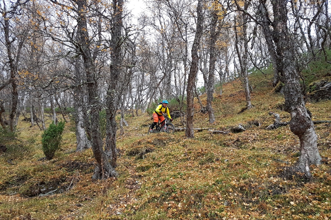 Oppdal Stisykkelcamp 2017 - Henrik Kippernes Oppdal Sticamp 2017 6 - 1400x933