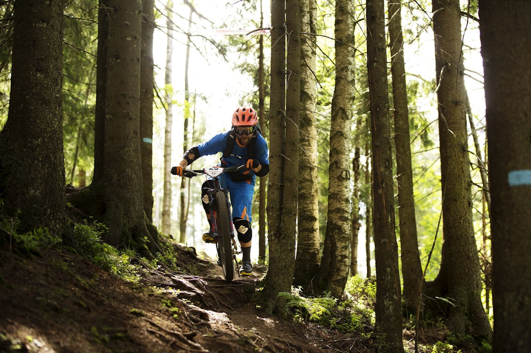 TETT PÅ: Ove Grøndal kom fra dette treet sittende på sykkelen, heldigvis. _IPP4194