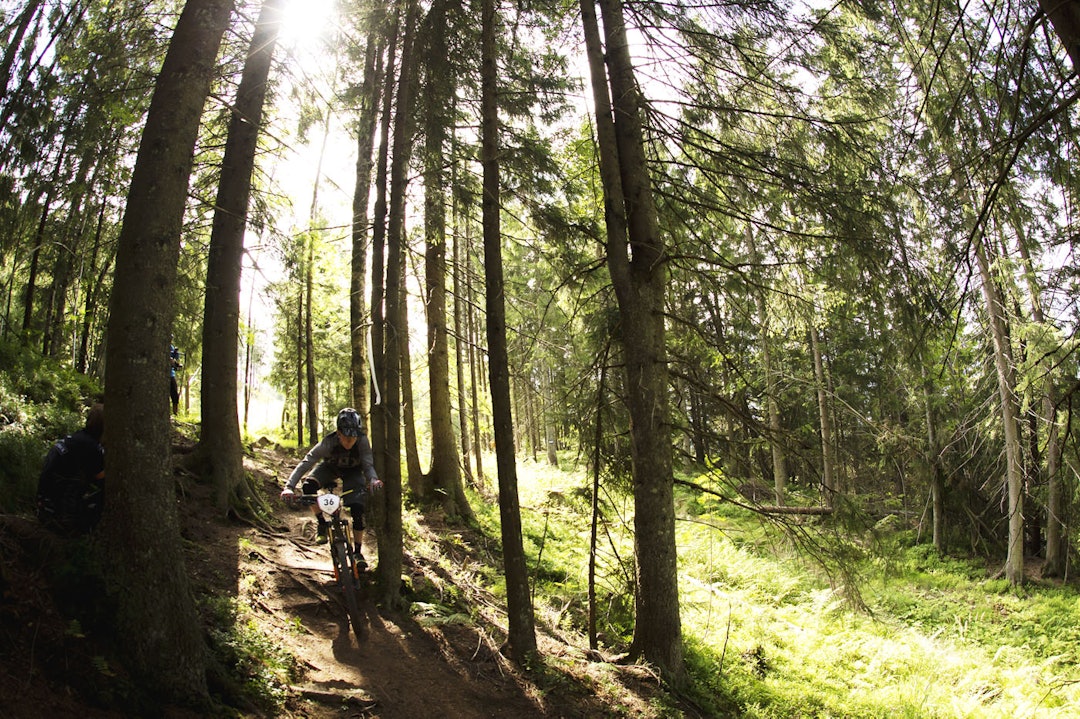 OGSÅ TETT PÅ: Ted Johansen ble fristet av det samme treet, men klarte seg. _IPP4269