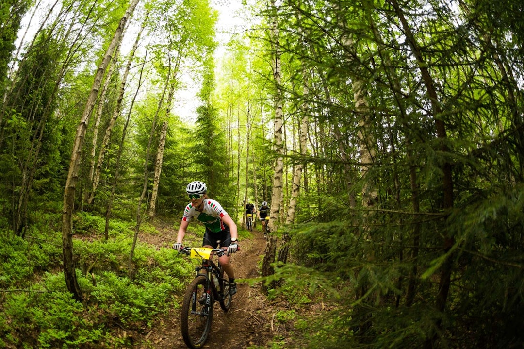 SINGLETRACK: Det vanket mange godord om TSR-løypa og Pioneren. Her lengst mot syd ved Grønmo, derav navnet Syden. (foto: Snorre Veggan) terrengsykkelrittet-5546a