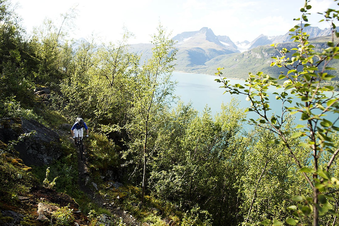 15-40-26-1 15-40-26-1