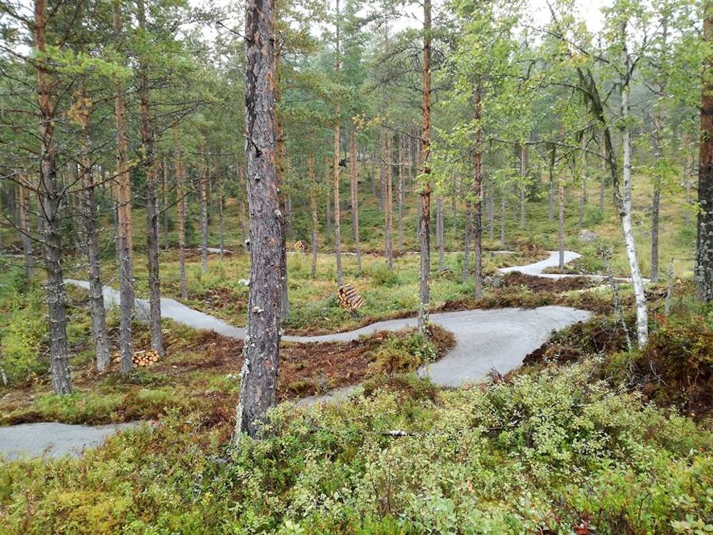 TryteTrøkket er gradert grønn og egner seg for syklister på alle nivåer. Foto: Paul Lockhardt TryteTrøkket - Sept 2017 - Duane Butcher 1000x