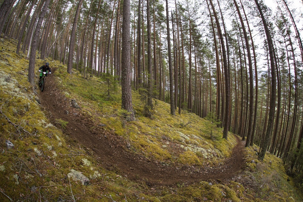 SÅ SOM I HIMMELEN: Nesbyen, altså. Roy Ripe nyter førsteklasses skogsstier. _IPP7100