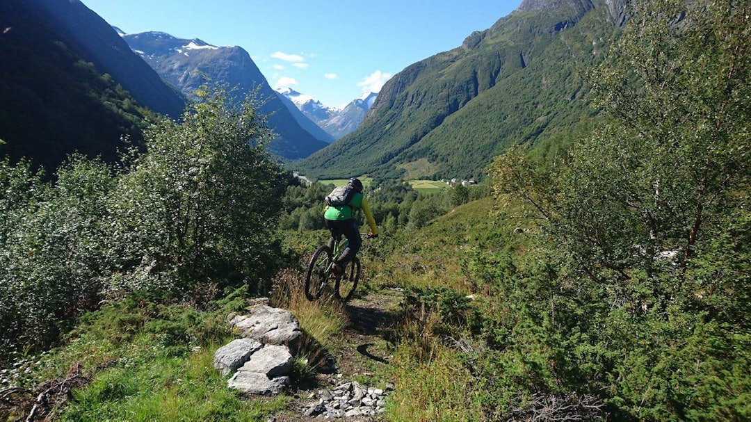 Napenstien innbyr til fart, er ikke spesielt teknisk og kan sykles både oppover og nedover. Foto: Fred Syversen Napen valley Fred Syversen 1400x