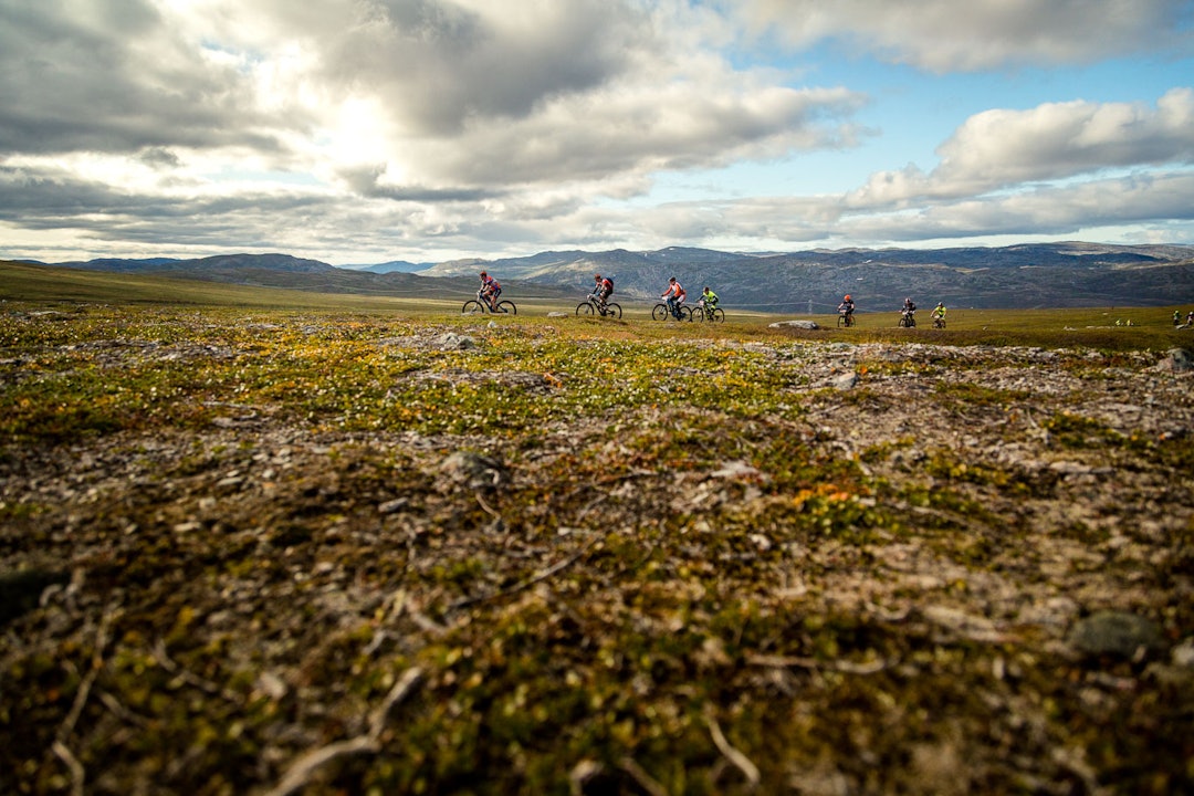 Vidda er vid Ziggi-SkaidiXtreme2017_MG_8724-1280px-WEB