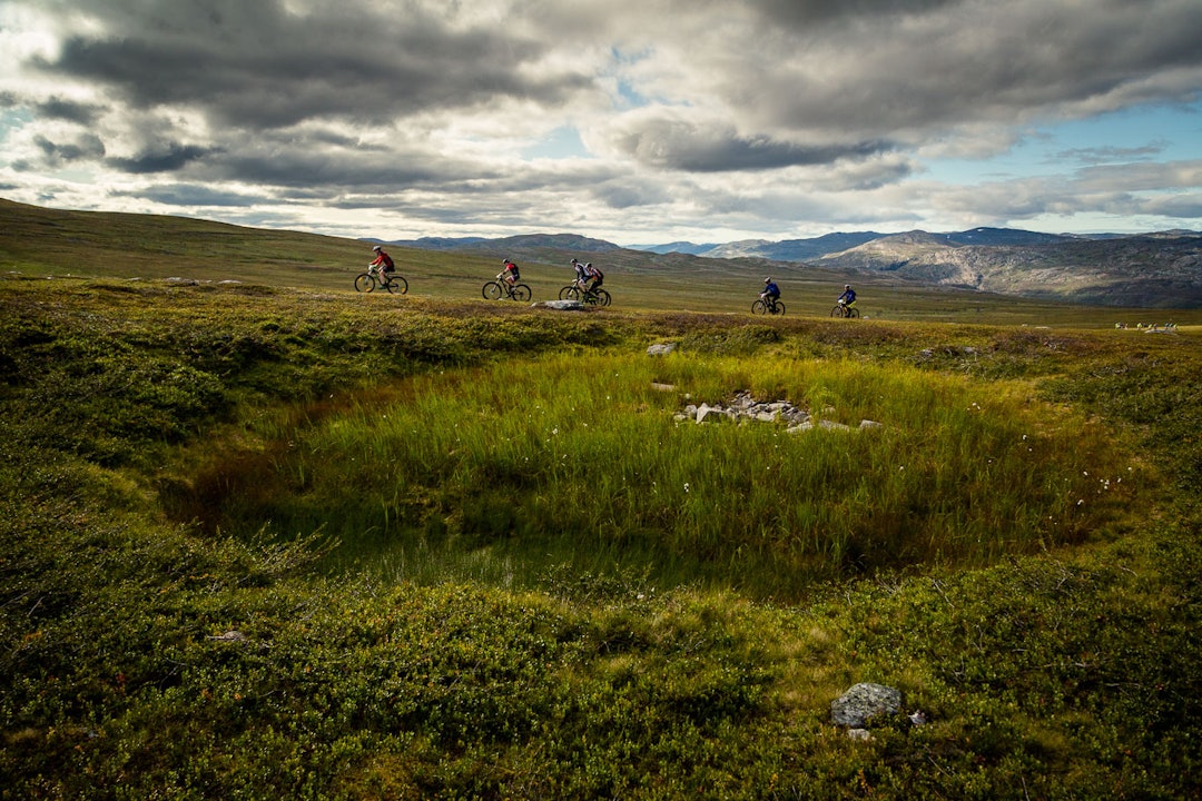 Stedvis myrlendt Ziggi-SkaidiXtreme2017_MG_8838-1280px-WEB