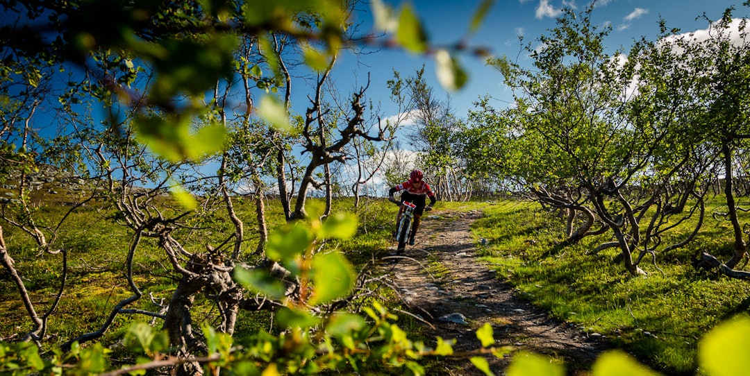 Fint driv Ziggi-SkaidiXtreme2017_MG_9831-1280px-WEB