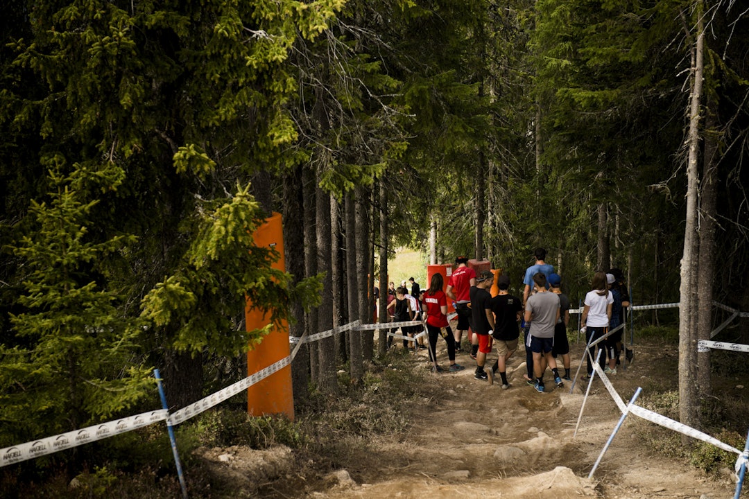 OPPUSSET: Første skogen har fått en ordentlig overhaling og nytt inngangsparti siden i fjor. (foto: Martin I. Dalen) _MID0320