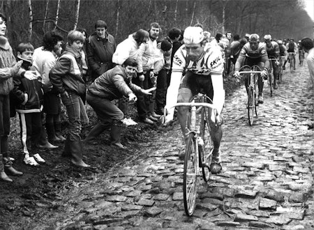 BRUTALT: Sean Kelly på vei gjennom Arenbergskogen i Paris-Roubaix, før gjerder var en god idé. Foto: Cor Vos. 