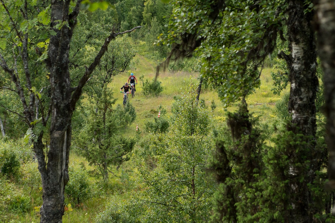 Grønt paradis. Benhoft Hansen i front. Foto: Grete Jakobsen sanssenja Foto Grete Jakobsen 1400x933