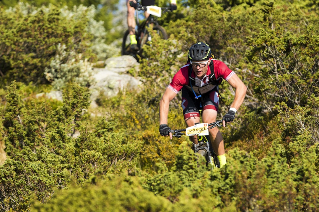 Einer og krattskog _ES_4745