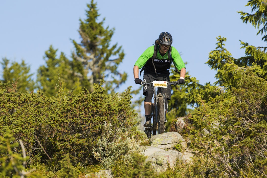 Stedvis steinete _ES_4764