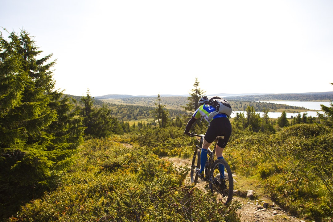 Nyte utsikten _KHK5610