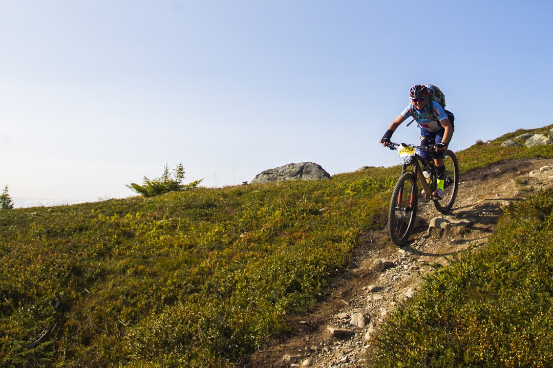 Lekende lett _KHK5690